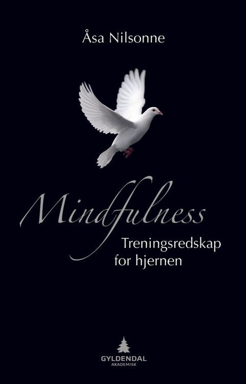 Mindfulness - treningsredskap for hjernen