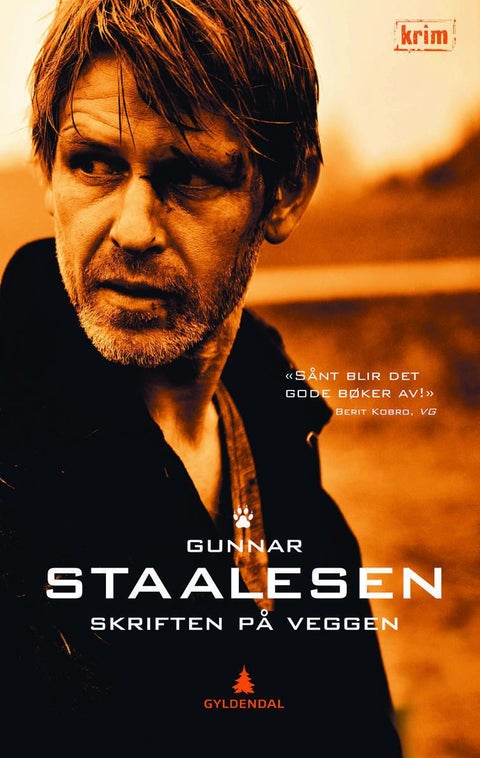 Skriften på veggen - kriminalroman