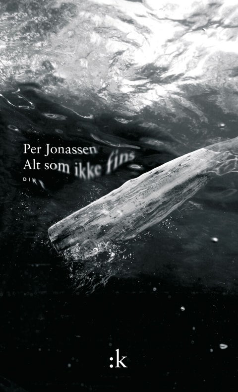 Alt som ikke fins - dikt