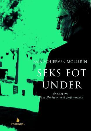 Seks fot under - et essay om Hans Herbjørnsruds forfatterskap