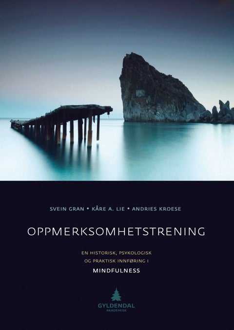 Oppmerksomhetstrening - en historisk, psykologisk og praktisk innføring i mindfulness