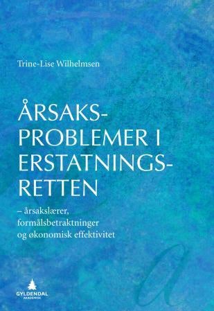 Årsaksproblemer i erstatningsretten - årsakslærer, formålsbetraktninger og økonomisk effektivitet