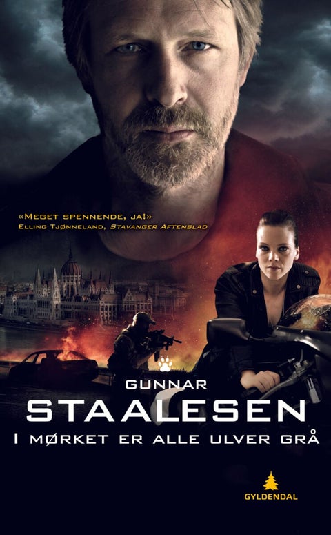I mørket er alle ulver grå - kriminalroman