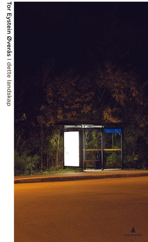 I dette landskap - artikler og essays