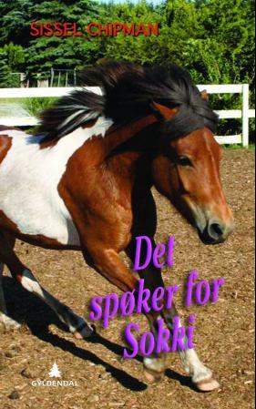 Det spøker for Sokki