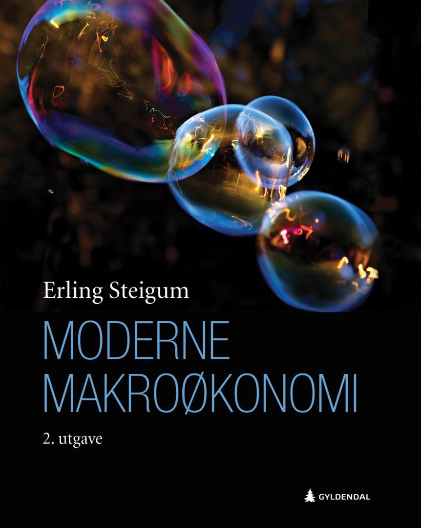 Bilde av Moderne Makroøkonomi Av Erling Steigum