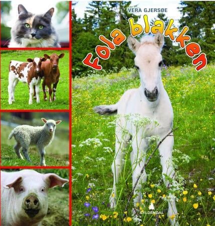 Fola Blakken - og de andre dyra på gården