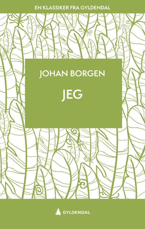 Jeg - roman