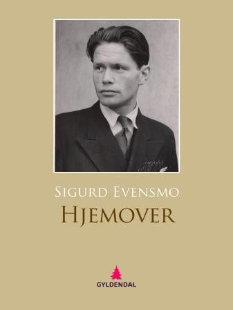 Hjemover - roman