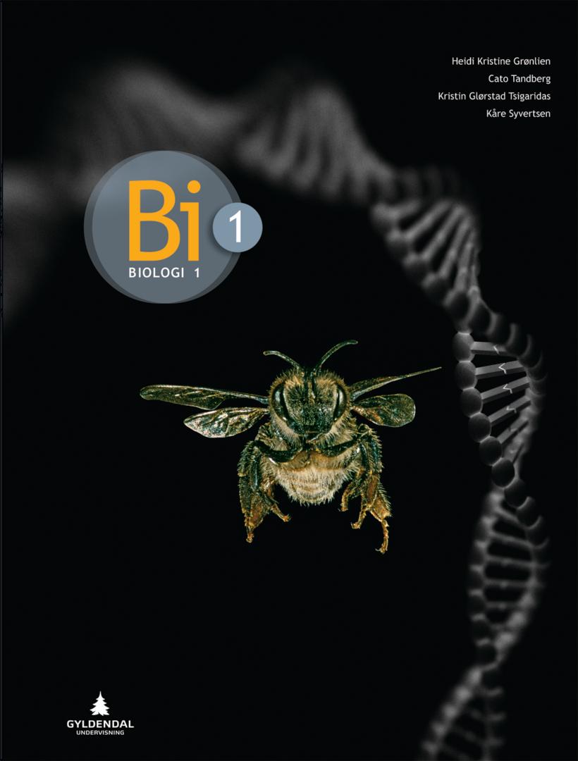 book cover thumbnail