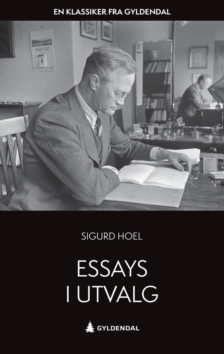 Bilde av Essays I Utvalg Av Sigurd Hoel