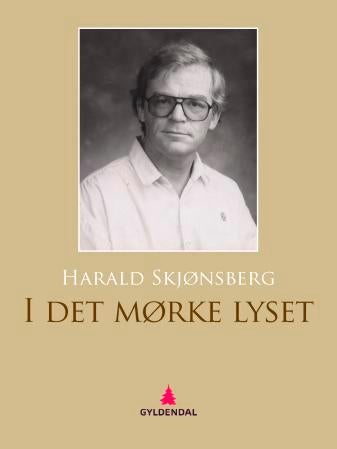I det mørke lyset - roman