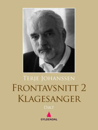 Bilde av Frontavsnitt 2 Av Terje Johanssen