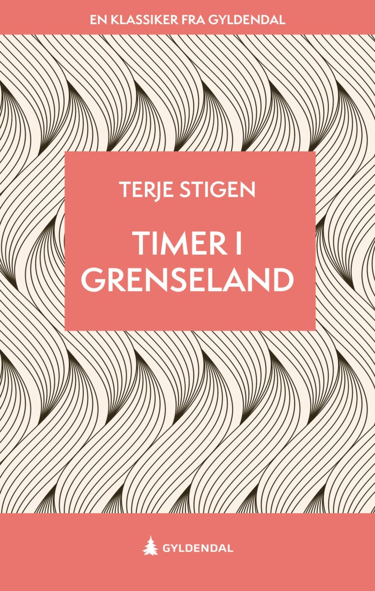 Timer i grenseland - roman