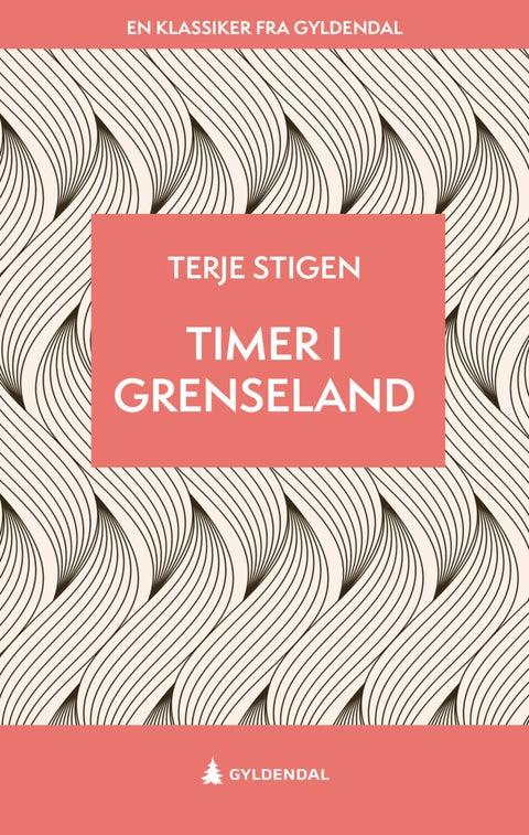 Timer i grenseland - roman