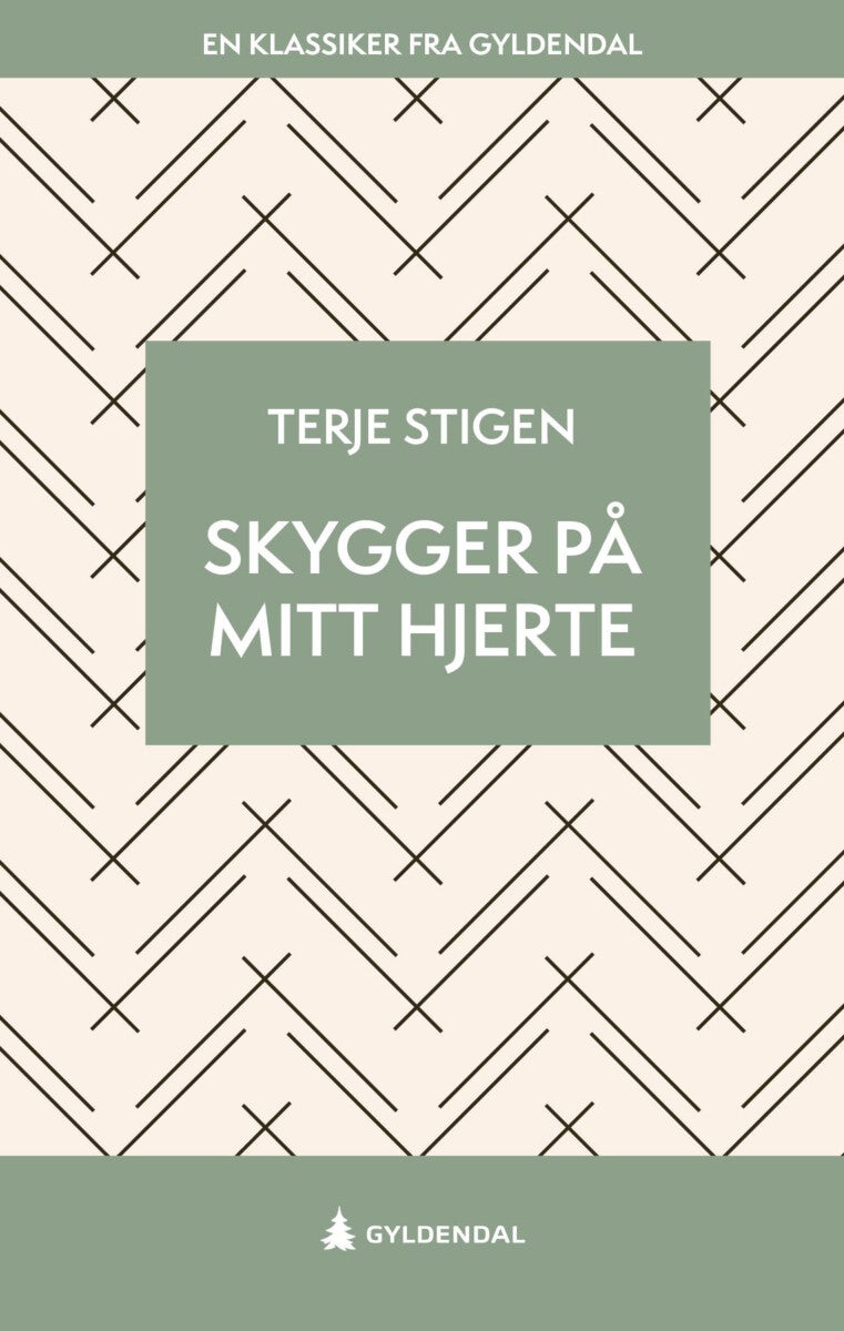 Skygger på mitt hjerte - roman