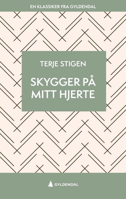 Skygger på mitt hjerte - roman