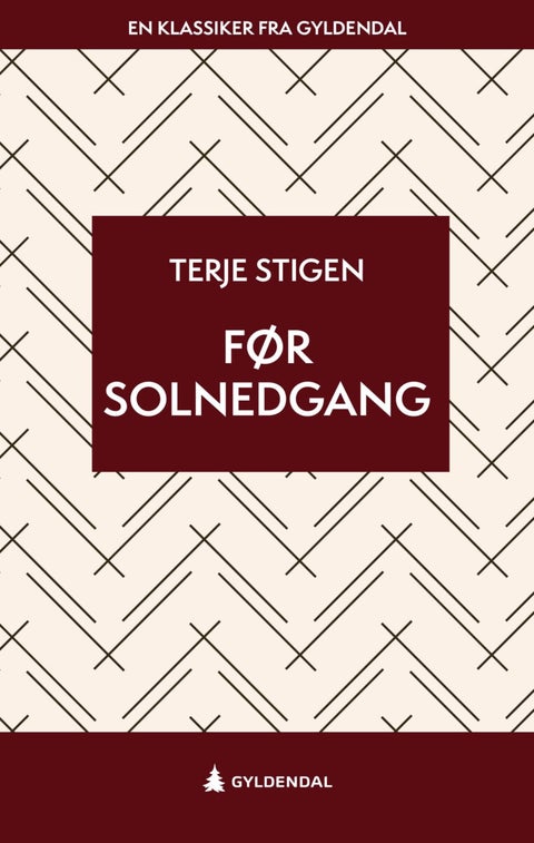 Før solnedgang - roman