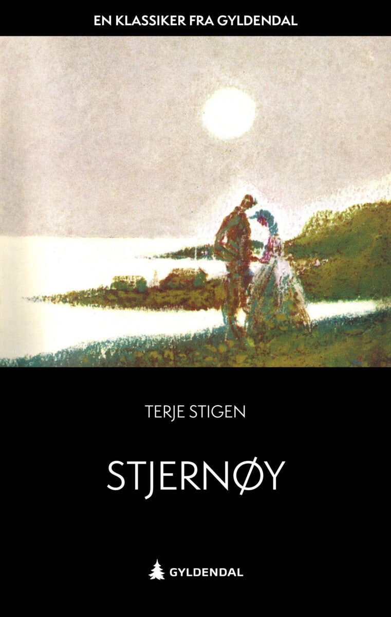 Stjernøy - roman