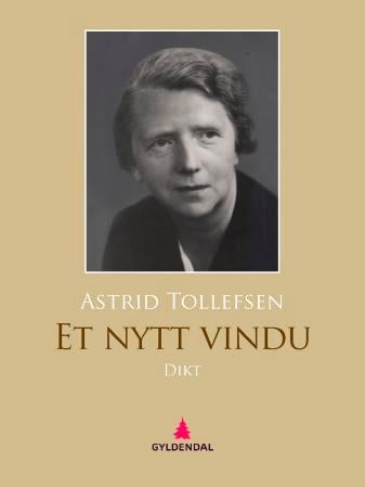 Et nytt vindu - dikt