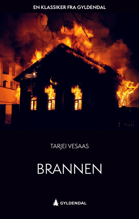 Brannen - roman
