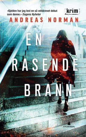 En rasende brann - kriminalroman