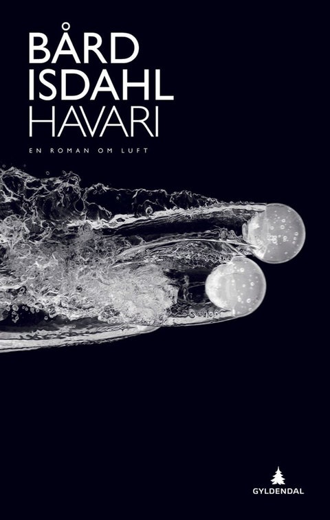 Havari - en roman om luft