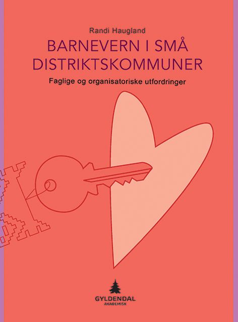 Barnevern i små distriktskommuner - faglige og organisatoriske utfordringer