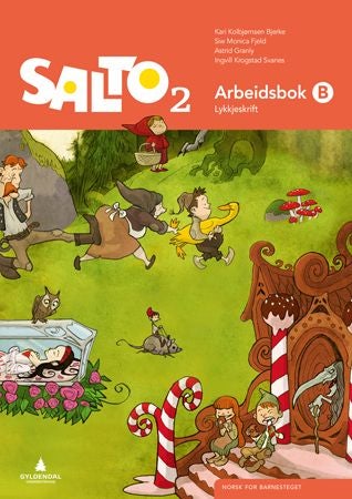 Salto 2 - Arbeidsbok B : lykkjeskrift : norsk for barnesteget