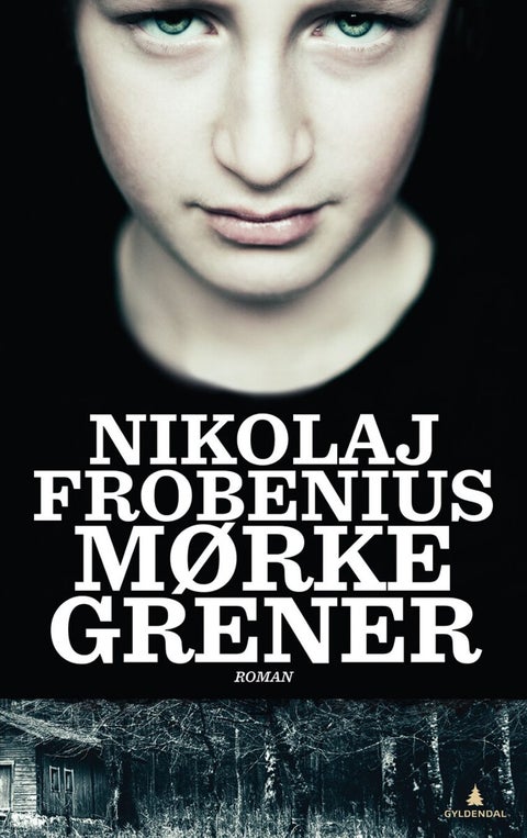 Mørke grener - roman
