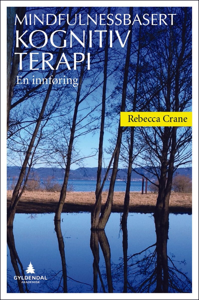 Mindfulnessbasert kognitiv terapi - en innføring