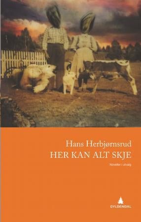 Her kan alt skje - noveller i utvalg