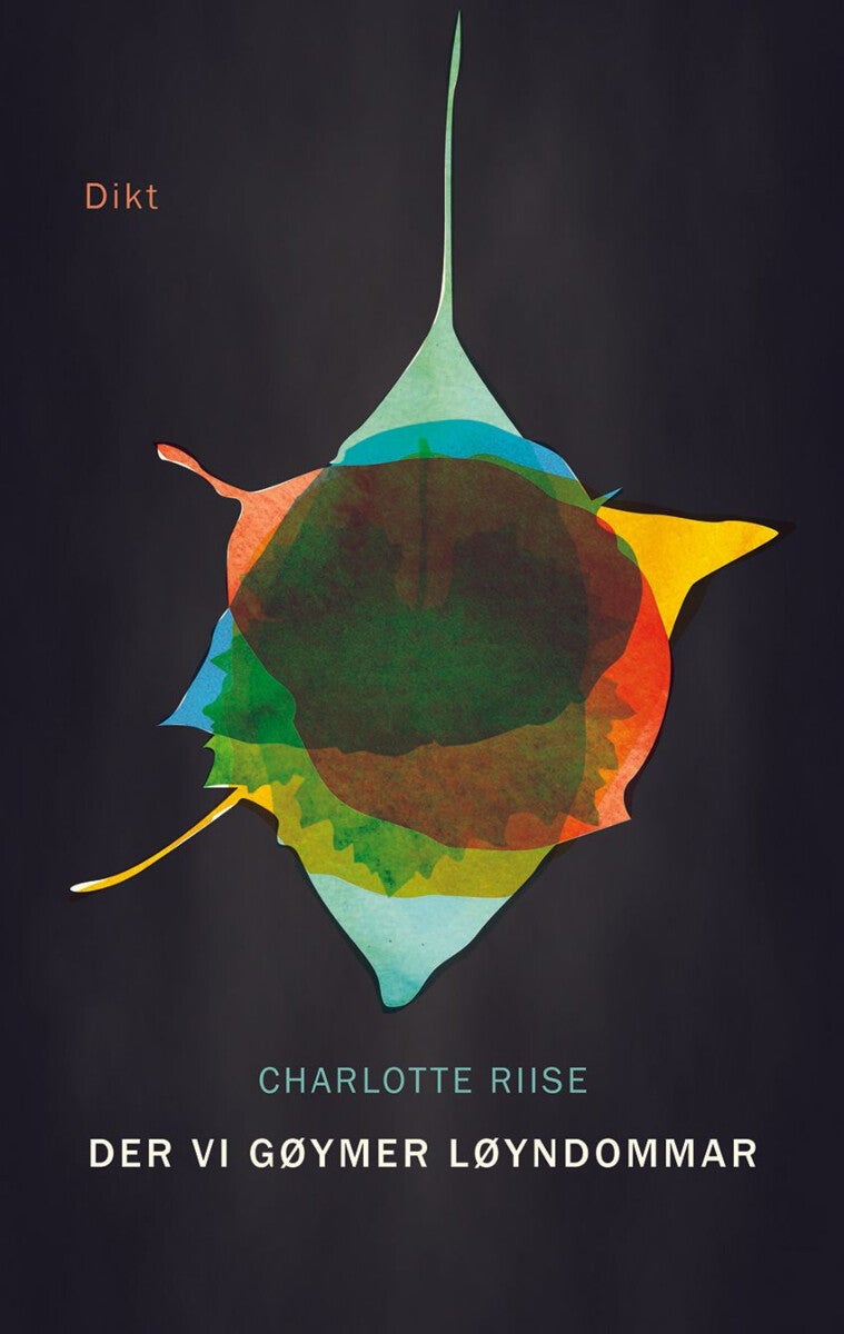 Der vi gøymer løyndommar - dikt