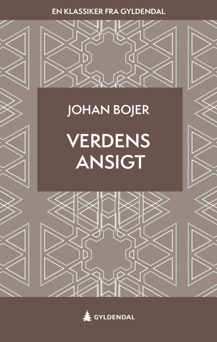 Verdens ansigt - roman