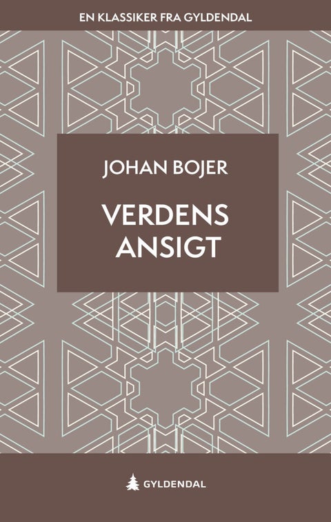 Verdens ansigt - roman