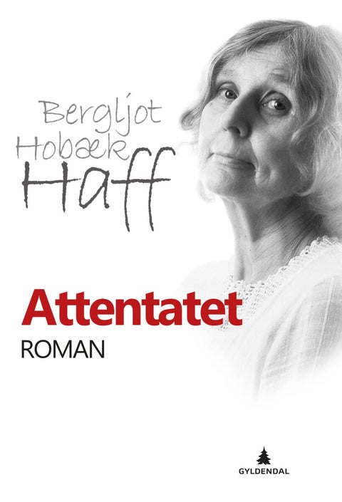 Attentatet - roman