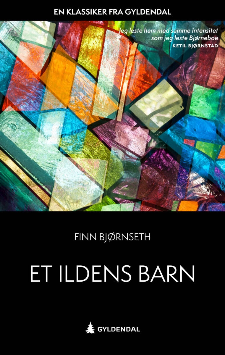 Et ildens barn - roman