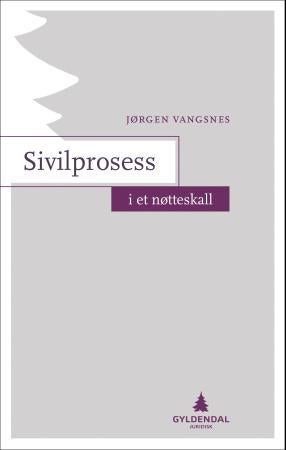 Sivilprosess i et nøtteskall