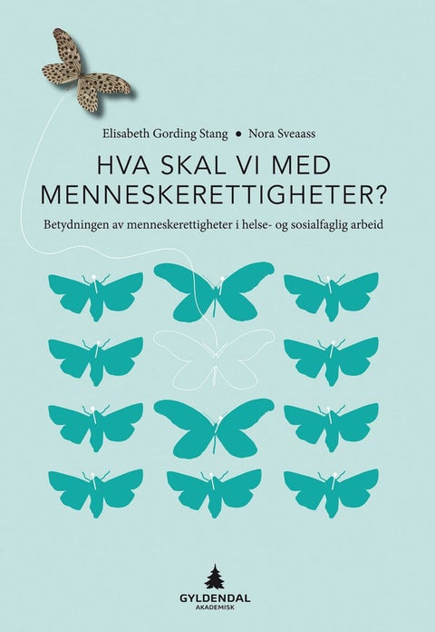 Hva skal vi med menneskerettigheter? - betydningen av menneskerettigheter i helse- og sosialfaglig arbeid