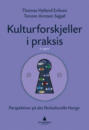 Kulturforskjeller i praksis - perspektiver på det flerkulturelle Norge