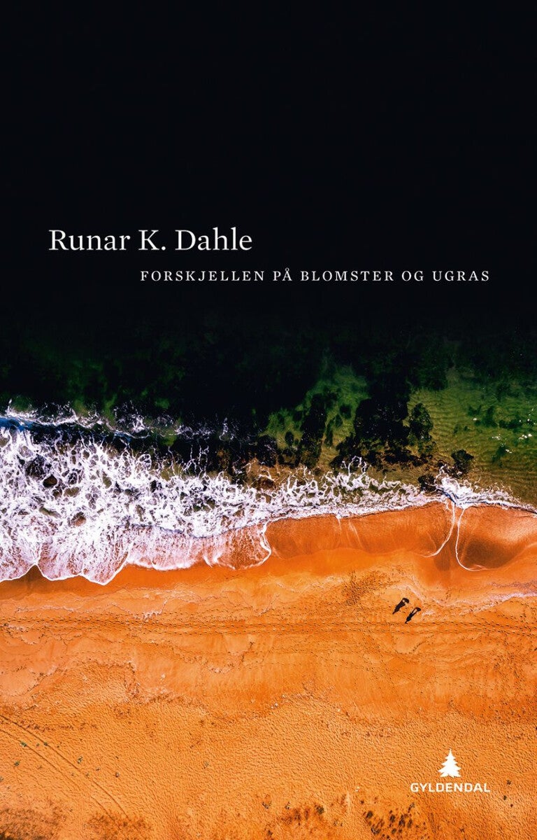 Forskjellen på blomster og ugras - roman