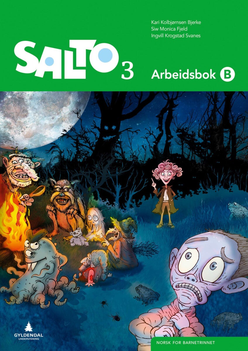 Salto 3 - Arbeidsbok B : norsk for barnesteget