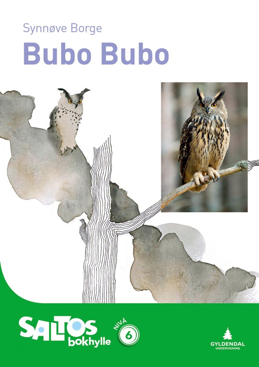Bubo bubo - nivå 6