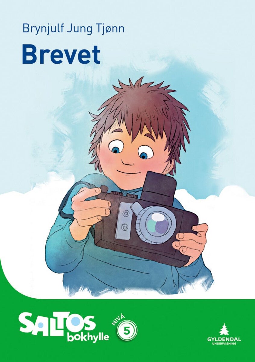 Brevet - nivå 5