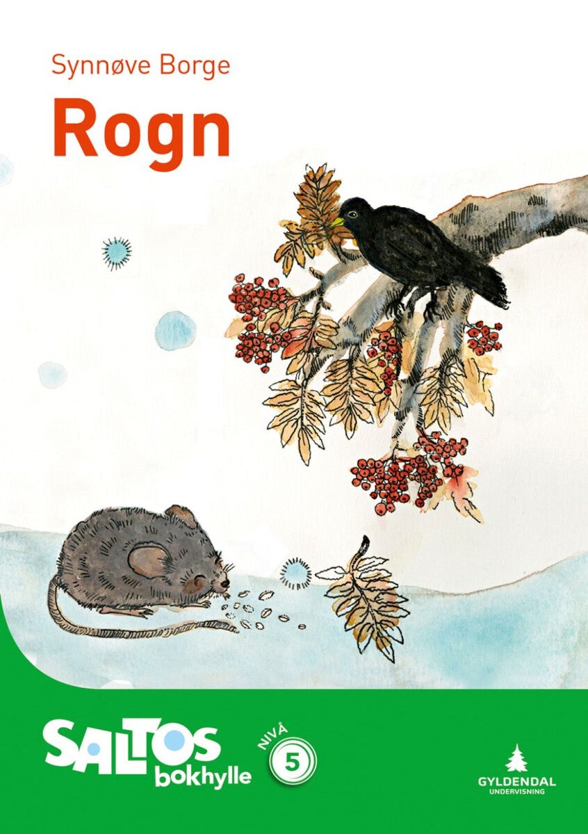 Rogn - nivå 5