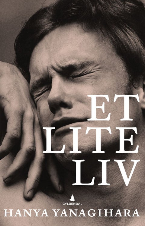 Et lite liv - roman
