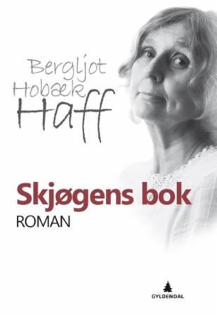 Skjøgens bok - roman