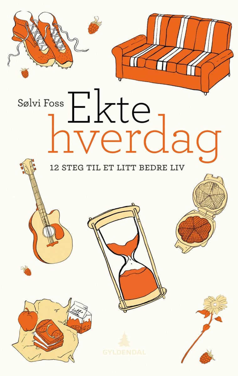 Ekte hverdag - 12 steg til et litt bedre liv