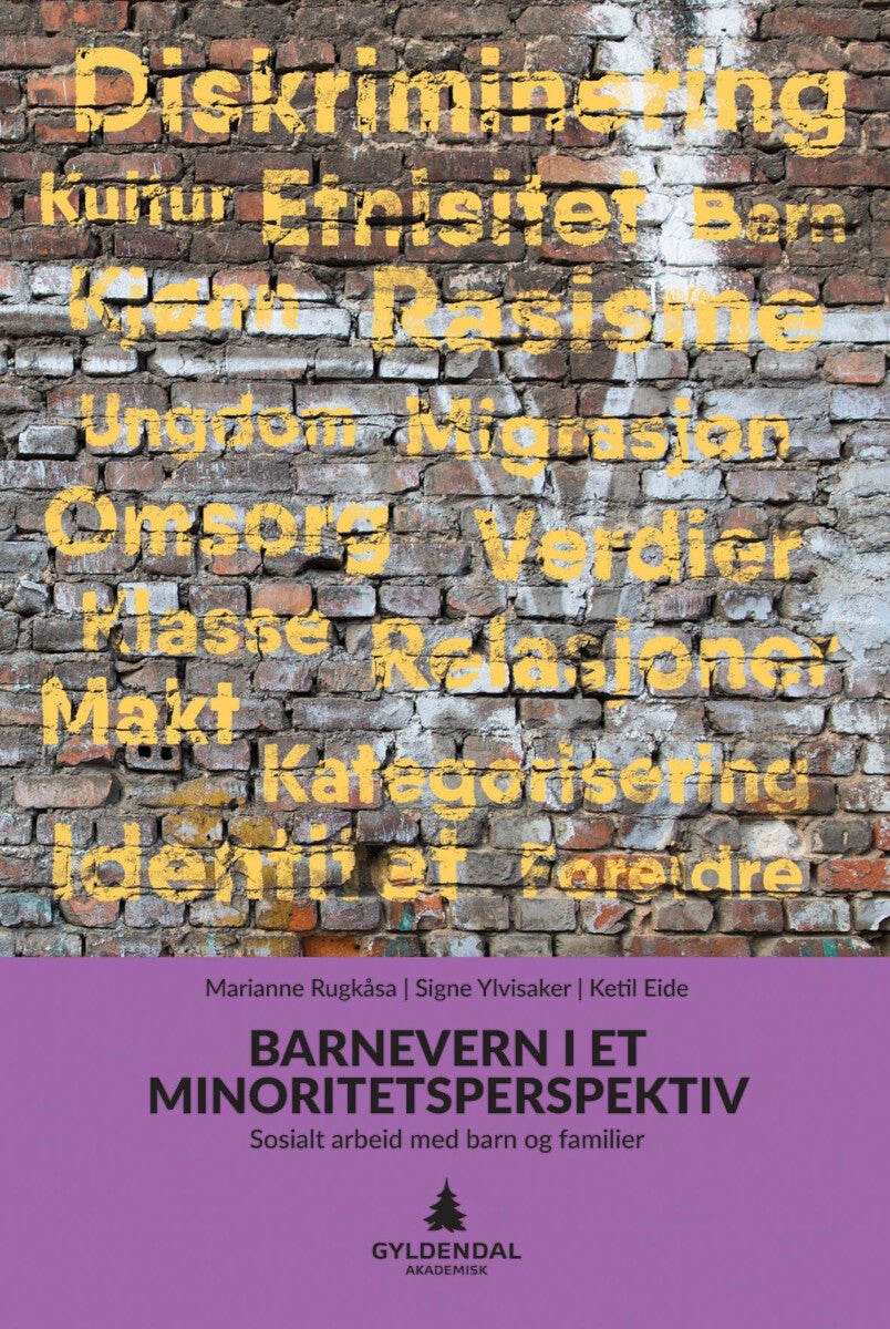 Barnevern i et minoritetsperspektiv - sosialt arbeid med barn og familier