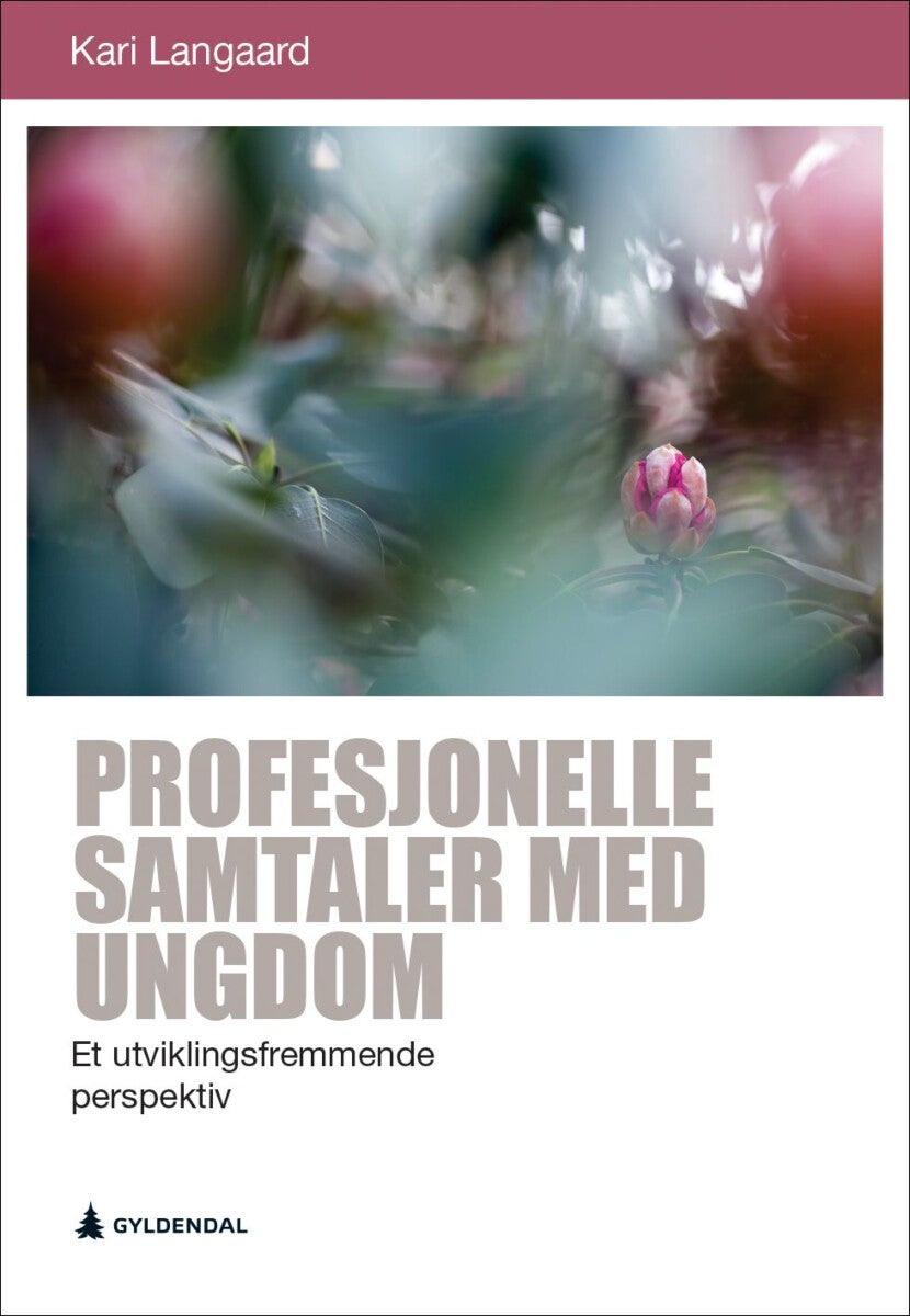 Profesjonelle samtaler med ungdom - et utviklingsfremmende perspektiv